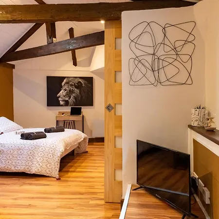 Magnifique Place Nationale Apartamento Montauban