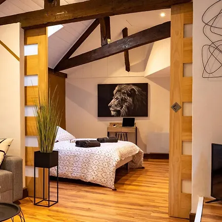 Magnifique Place Nationale Apartamento Montauban