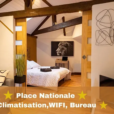 Magnifique Place Nationale Apartment Montauban